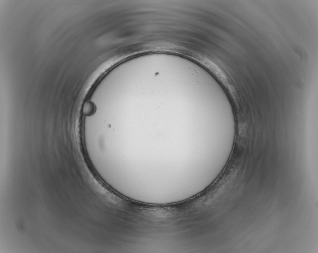 X0000114580947200911091233