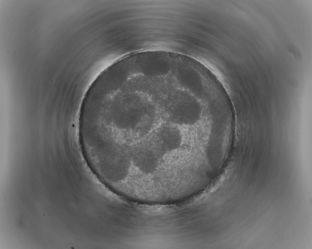 X0000114580949200911091233