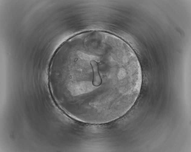 X0000114580950200911091233