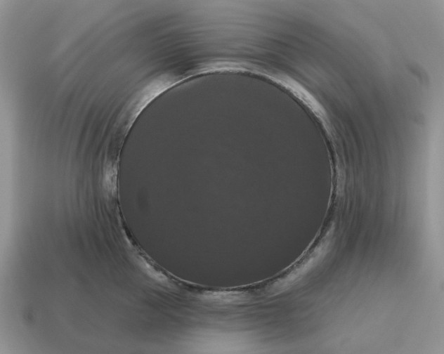 X0000114580953200911091233