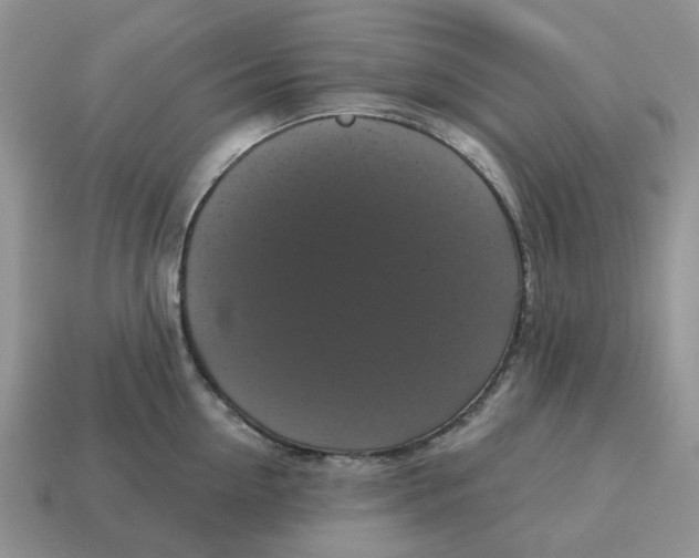 X0000114580954200911091233