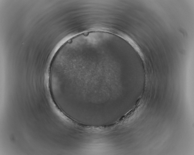 X0000114580955200911091233