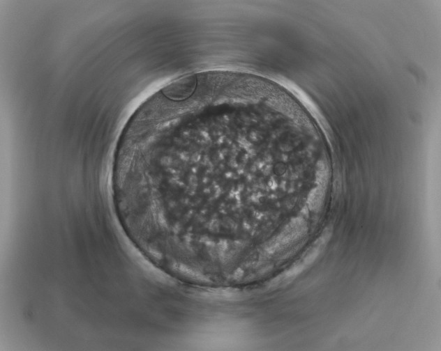 X0000114580957200911091233