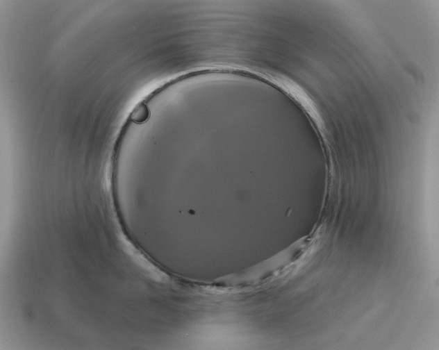 X0000114580958200911091233