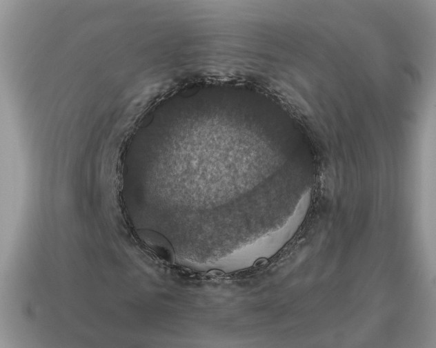 X0000114580961200911091232