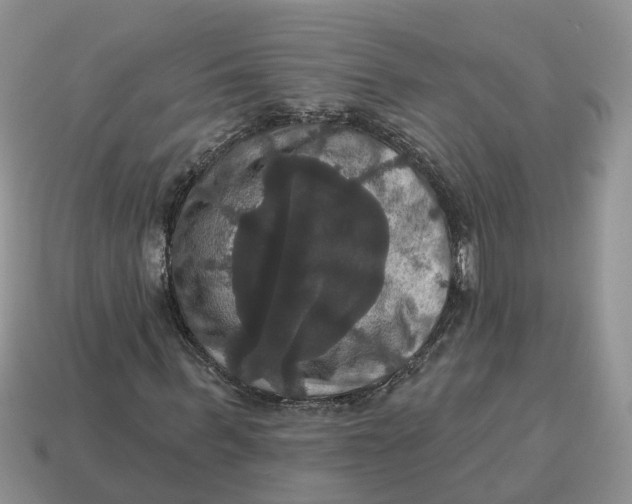 X0000114580963200911091232