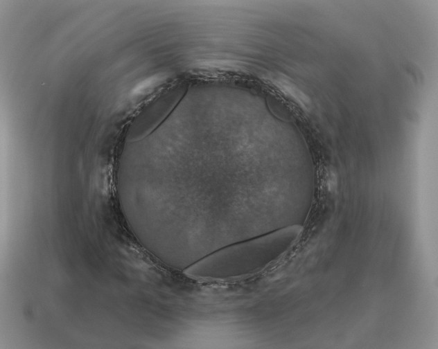 X0000114580965200911091232