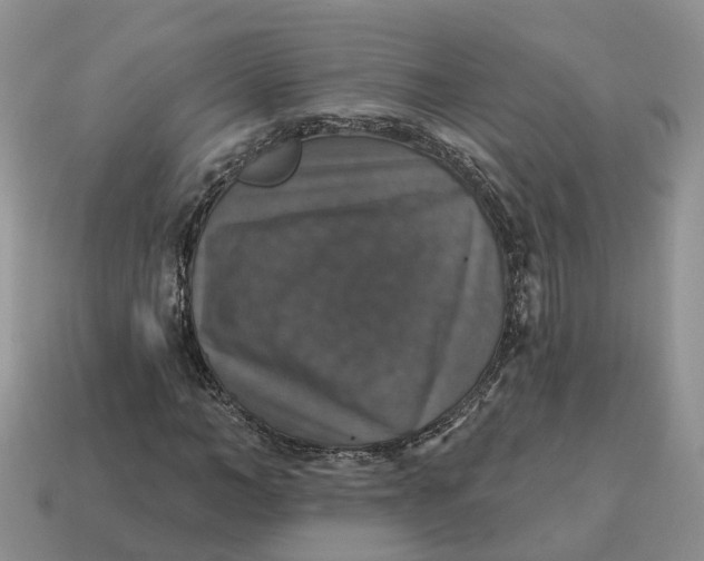 X0000114580966200911091232