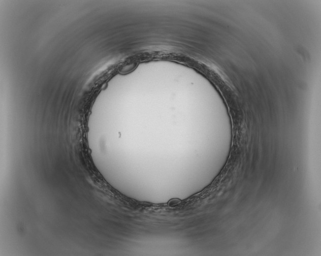 X0000114580967200911091232