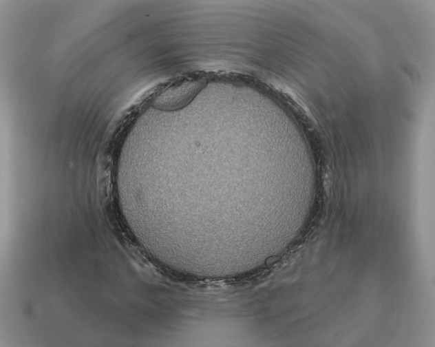 X0000114580968200911091232