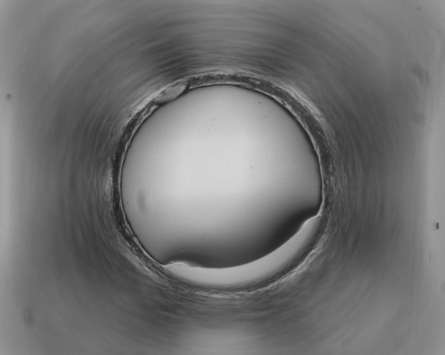 X0000114580969200911091232