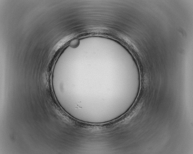 X0000114580970200911091232