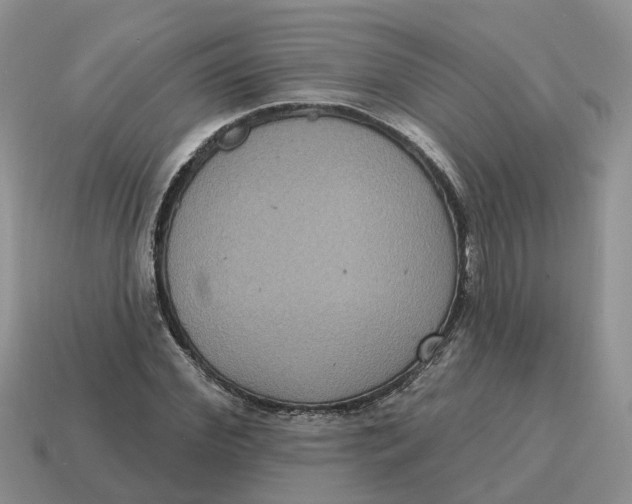 X0000114580972200911091232