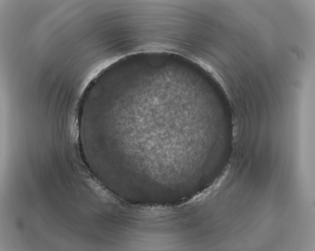 X0000114580973200911091232