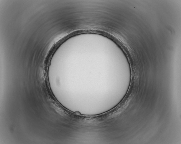 X0000114580974200911091232