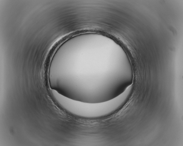 X0000114580975200911091232