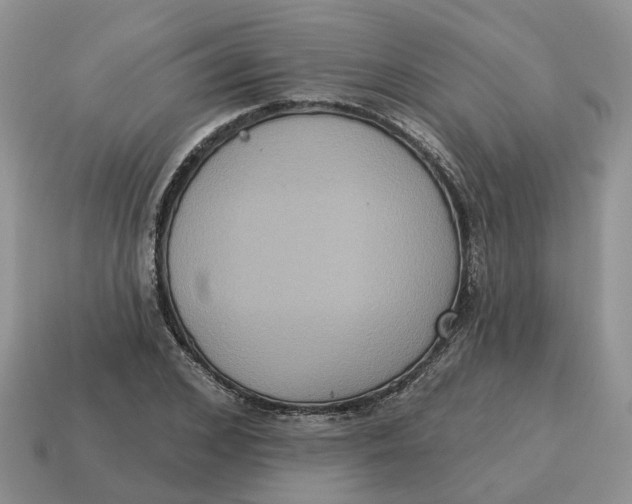 X0000114580976200911091232