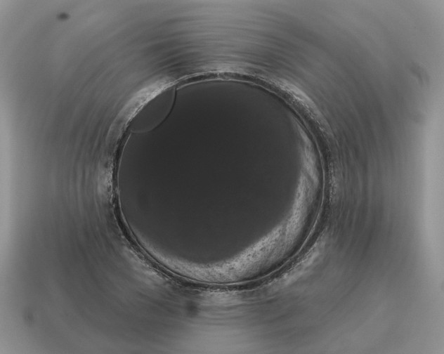 X0000114580977200911091232