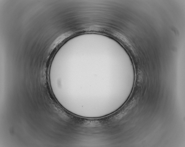 X0000114580978200911091232