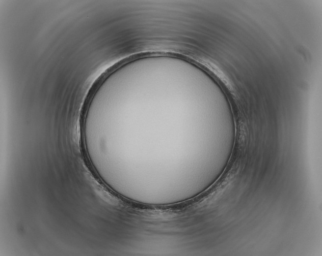 X0000114580980200911091232