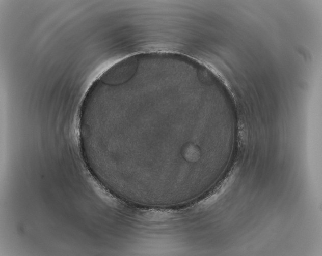 X0000114580981200911091232