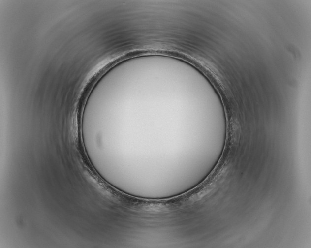 X0000114580982200911091232