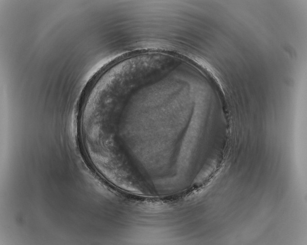 X0000114580983200911091232