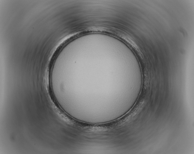 X0000114580984200911091232