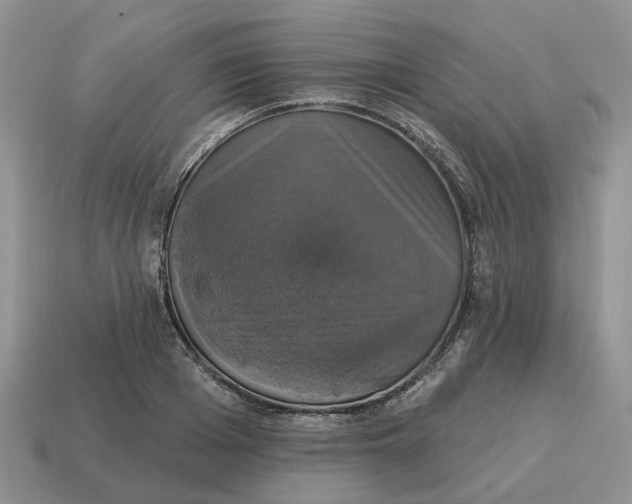 X0000114580985200911091232