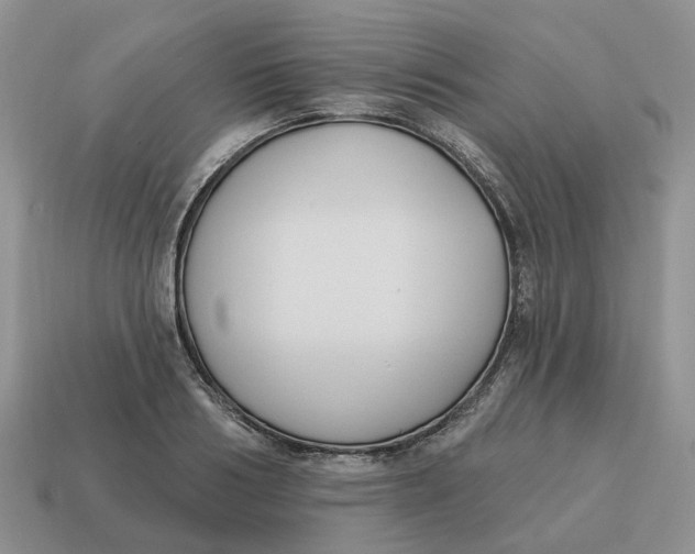 X0000114580986200911091232