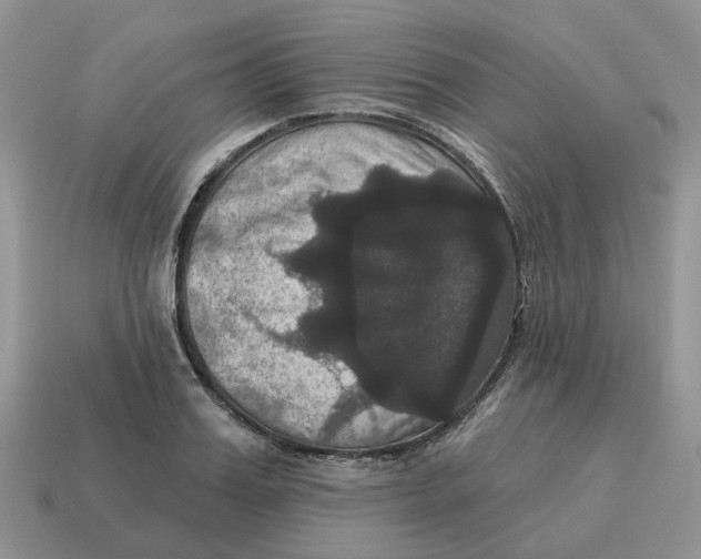 X0000114580987200911091232