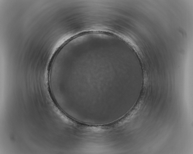 X0000114580990200911091232