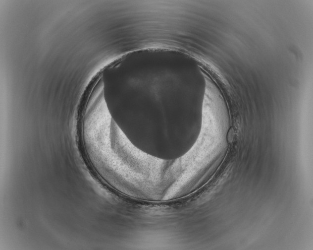 X0000114580991200911091232