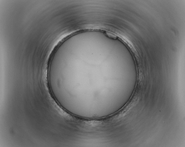 X0000114580992200911091232