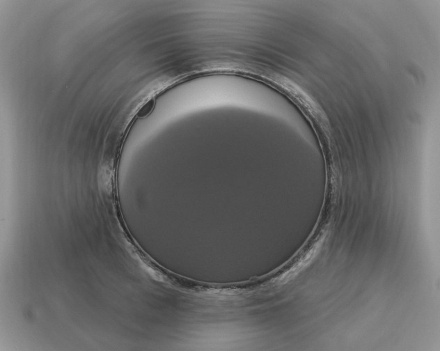 X0000114580993200911091232