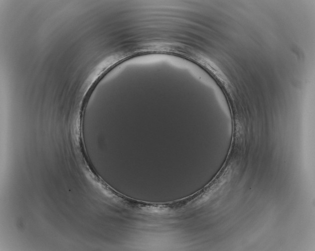 X0000114580994200911091232