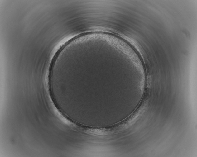 X0000114580995200911091232