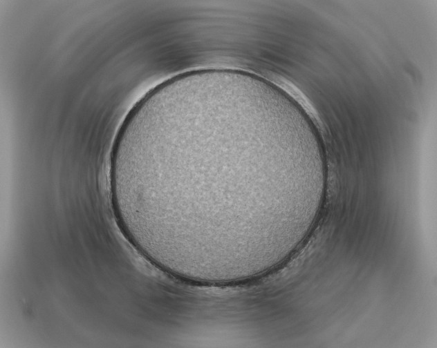 X0000114580996200911091232