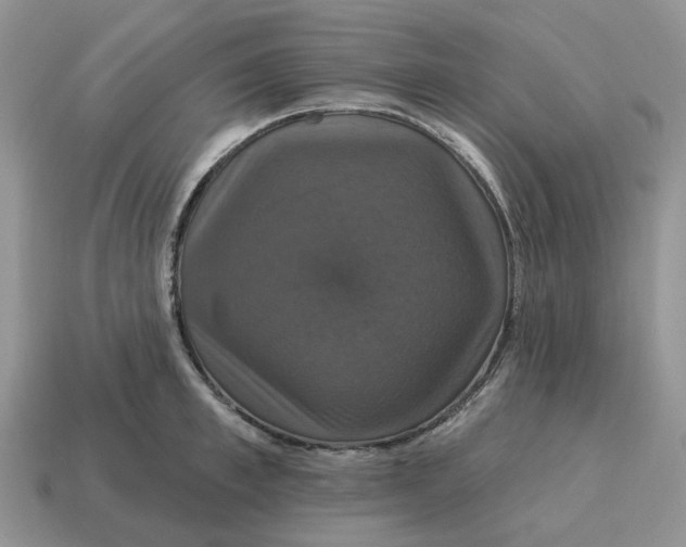 X0000114580997200911091232