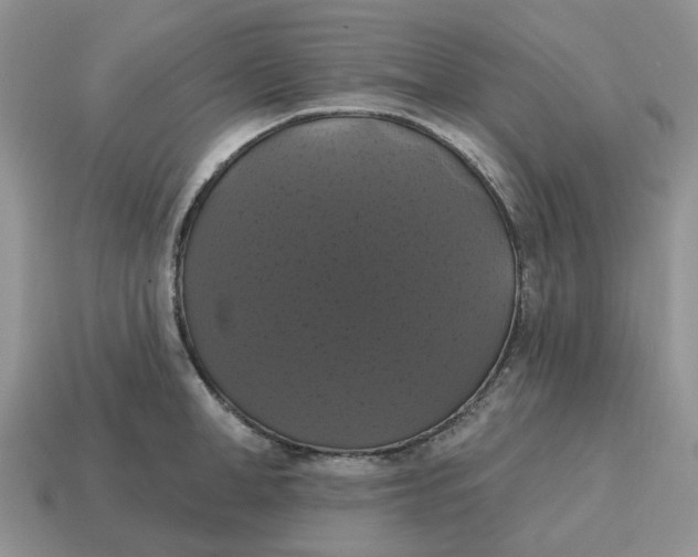 X0000114580998200911091232