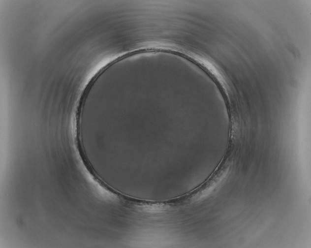 X0000114580999200911091232