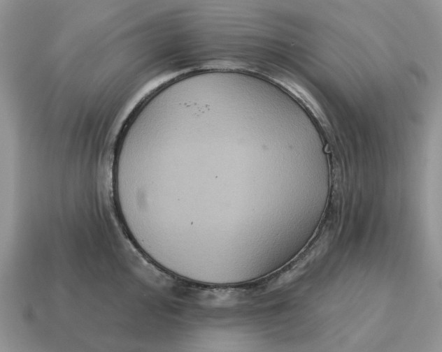 X0000114581000200911091232