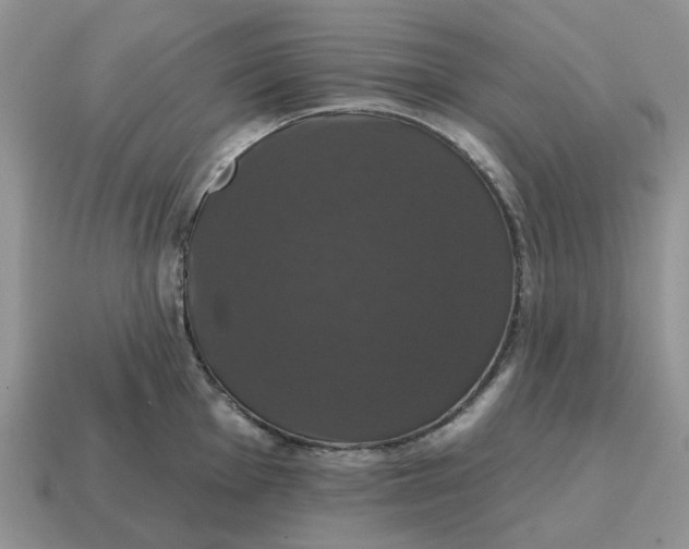 X0000114581001200911091232