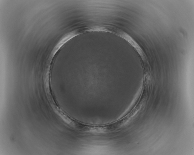 X0000114581002200911091232