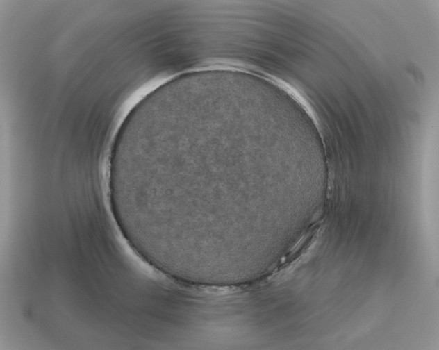 X0000114581003200911091232