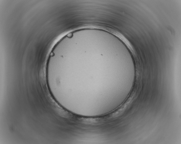 X0000114581004200911091232