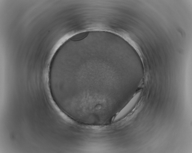 X0000114581005200911091232