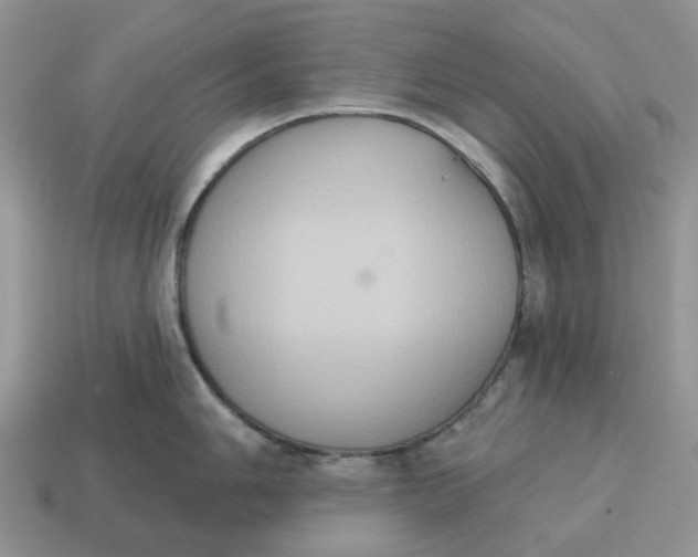 X0000114581006200911091232