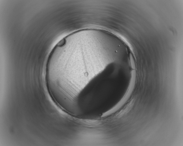 X0000114581007200911091232