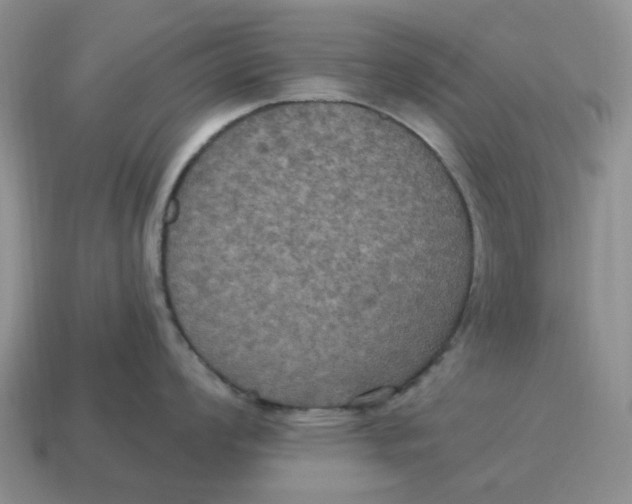 X0000114581008200911091232